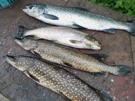 Рыбаловные туры в Карелию летом